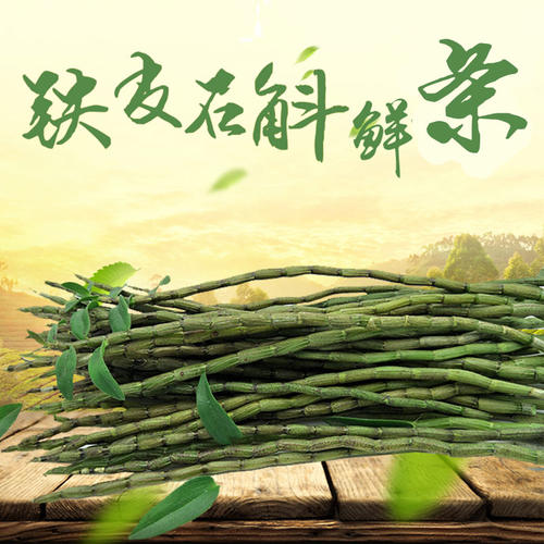 浙江温州商标注册又一枚地方商标名诞生：雁荡山铁皮石斛