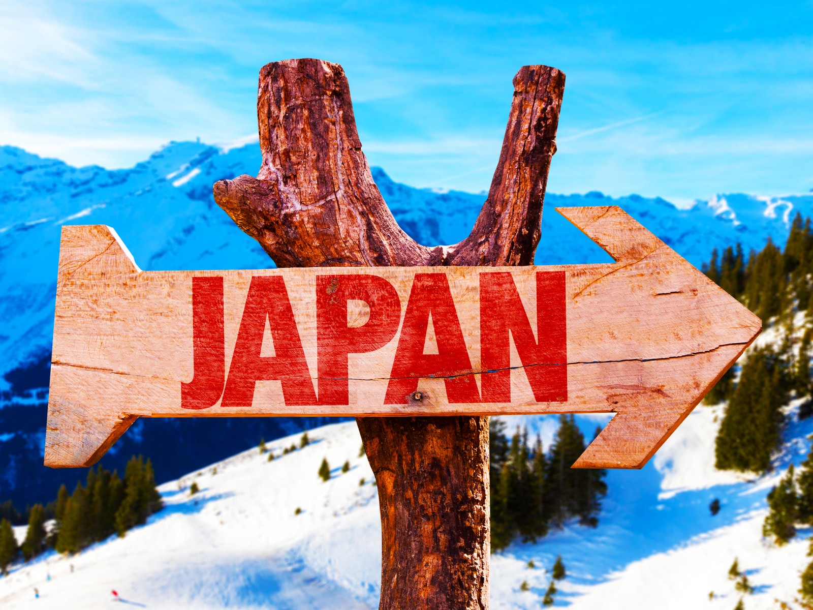 日本商标注册需要多久？看完就明白了