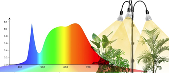 【24-cv-11654】LED植物生长灯TRO专利维权，立即停售下架！未开始冻结账户资金！