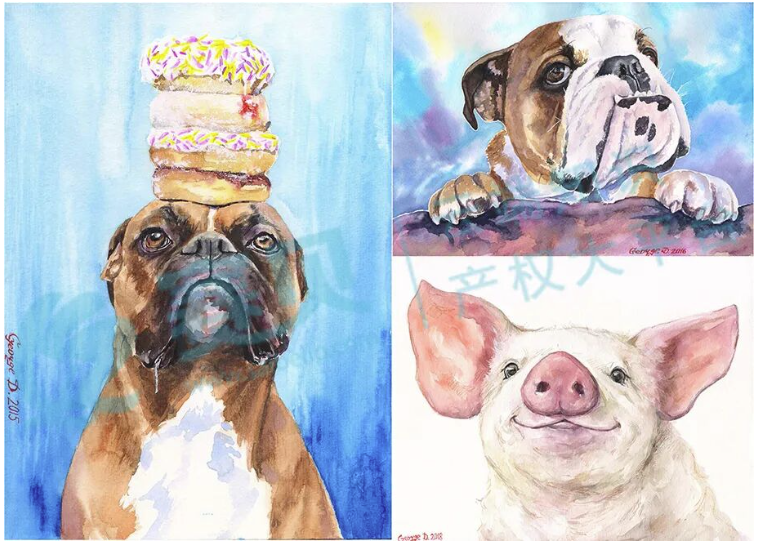 image.png 文章内容插图图片