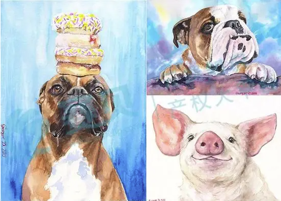 文章内容插图图片