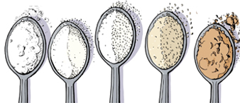 【25-cv- 13749】多糖种类插画成维权重点，Heather Hardison发起版权侵权TRO诉讼！