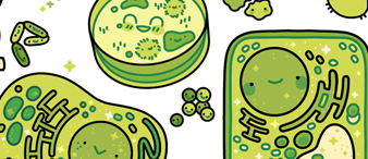 【25-cv-14036】4张科学萌系插画突袭！Keith律所代理Sara Nemec发起TRO维权，跨境卖家速查侵权风险！