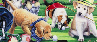 【25-cv-14324】萌宠插画版权TRO来袭！Jenny Newland发起侵权诉讼，跨境卖家速自查侵权风险！