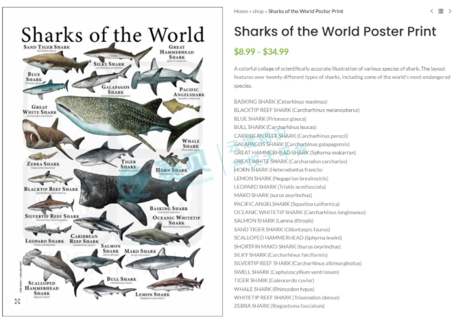 文章内容插图图片