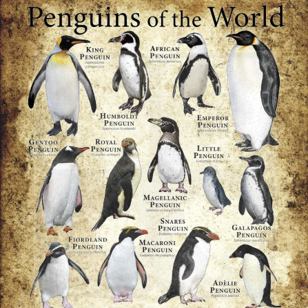 【25-cv-01838】20项野生动物主题版权遭侵权，Roger Hall发起TRO维权，亚马逊/沃尔玛等跨境卖家警惕！