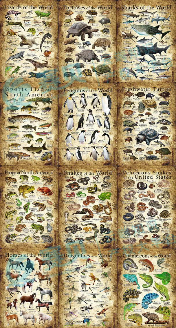 image.png 文章内容插图图片