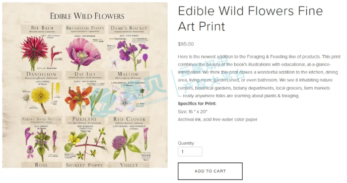 文章内容插图图片