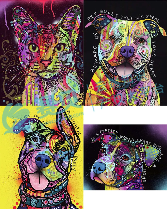 文章内容插图图片