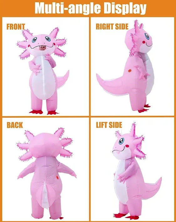 image.png 文章内容插图图片