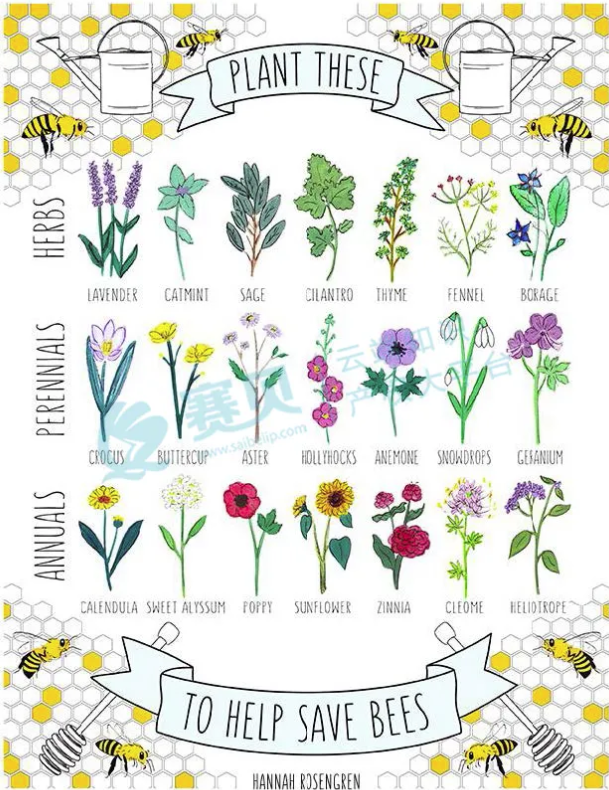 文章内容插图图片