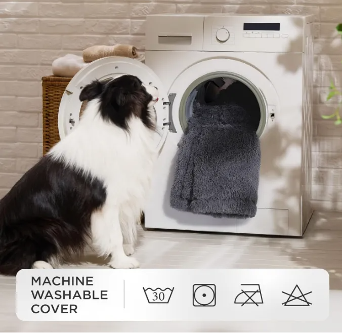 image.png 文章内容插图图片