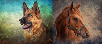 【26-cv-2472】Keith律所代理资深动物艺术家Anna Averianova，发起4副动物肖像作品TRO版权维权，指控跨境电商卖家销售盗版衍生品。