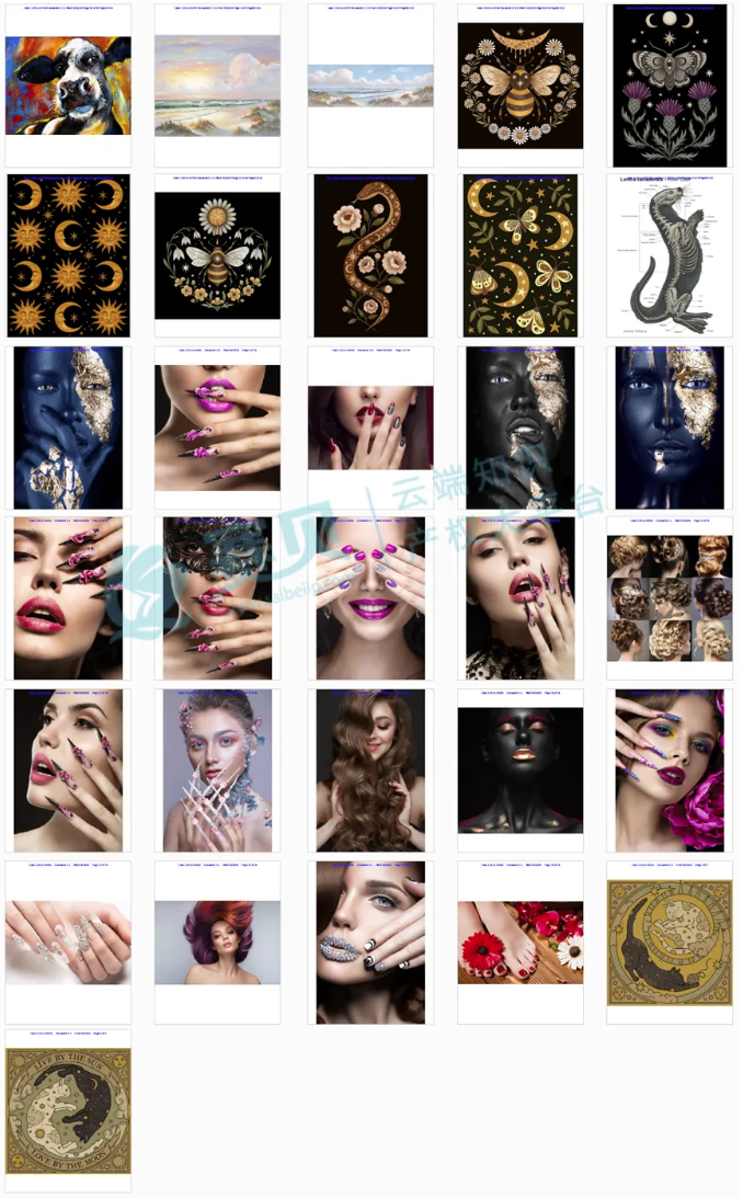 文章内容插图图片