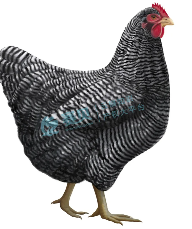 文章内容插图图片