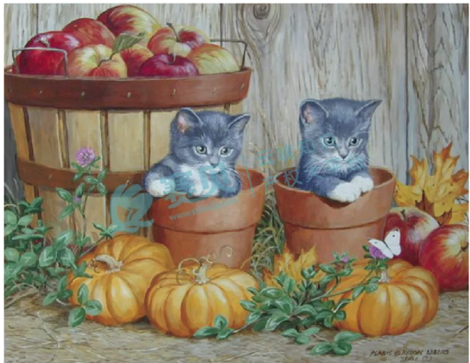 文章内容插图图片