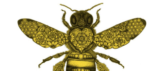 【26-cv-1185/1187】Sunny Solwind蜜蜂插画版权TRO维权预警，Ference律所代理连发2起诉讼，美国原创Honey Bee插画印花产品踩雷。