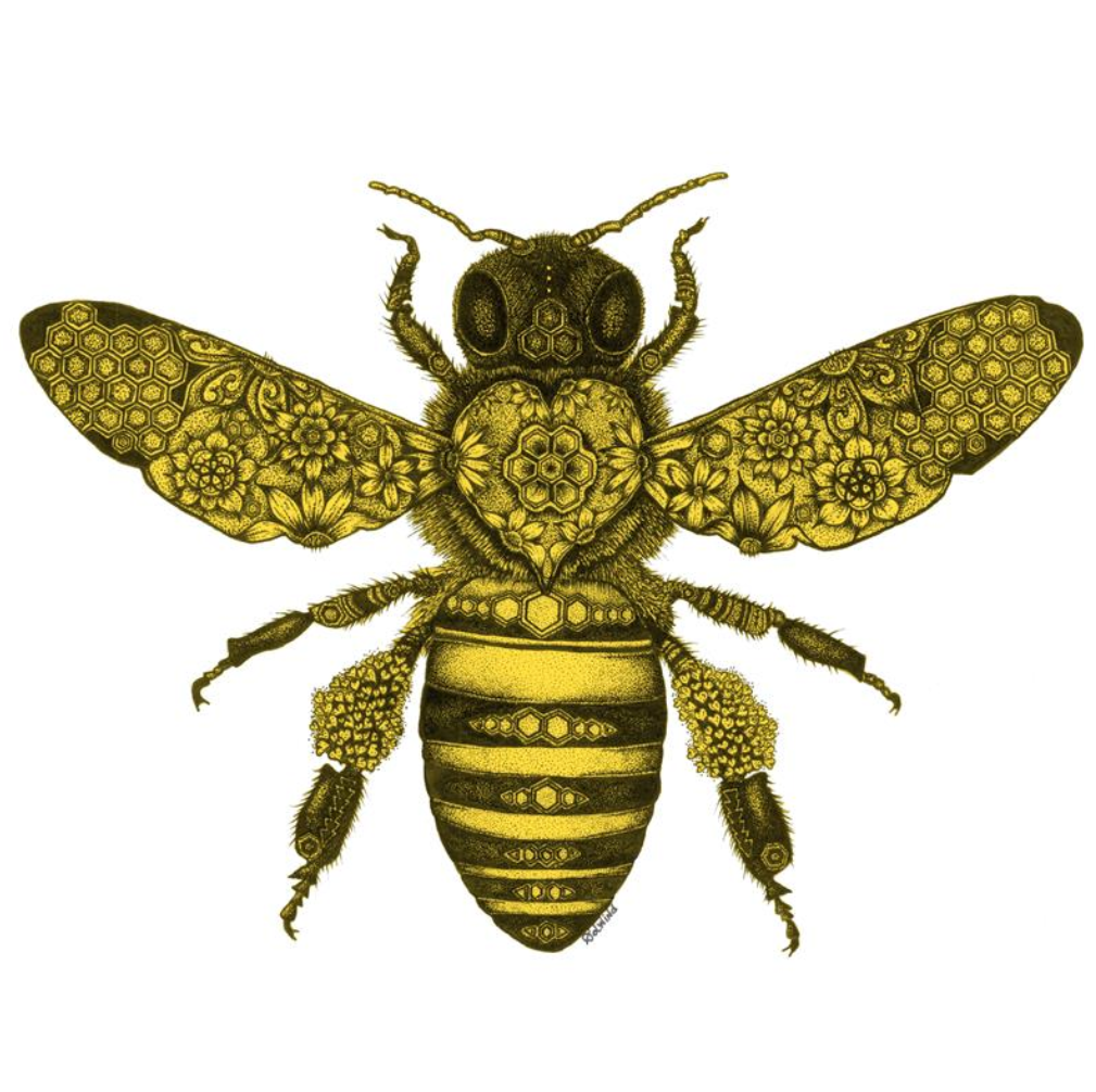 70名跨境卖家被起诉，Honey‑Bee蜜蜂主题艺术插画版权批量TRO追责【26-cv-1746】